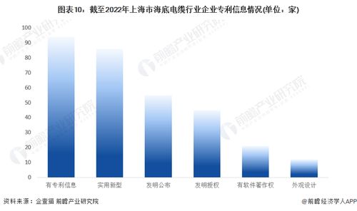 深?？椌W，數智賦能 2022年上海市海底電纜行業全景透視